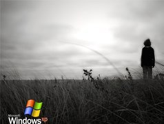 Windows XP, Professional, Człowiek, łąka