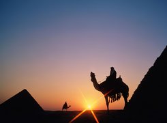 Egipt, Piramidy, wielbłądy, Zachód Słońca