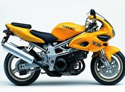 Żółty, Motor Suzuki