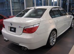 Biały, BMW 5, E60, Tył, Światła