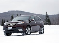Acura MDX, Śnieg, Ontario, 4x4