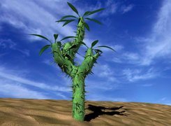 Wielki, Kaktus, Na pustkowiu