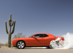 Dodge Challenger, Kaktus, Kłęby, Dymu