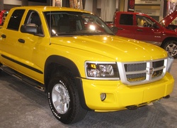 Dealer, Żółty, Dodge Dakota