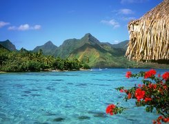 Tranquil, Lagoon, Bora, Bora