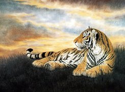 Rysunek, Tygrysa