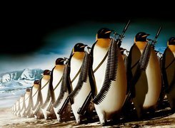 Maszerujące, Uzbrojone, Pingwiny