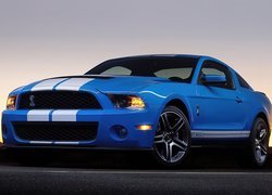 Ford Mustang GT 500, Pakiet, Shelby