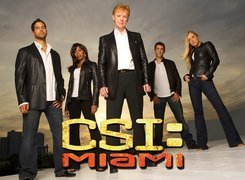 Serial, CSI Kryminalne zagadki Miami, Aktorzy