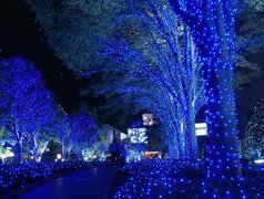 Tokio, Japonia, Święta