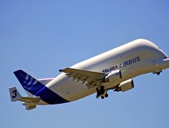 Airbus A300 Beluga, Transporter