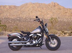 Harley Davidson Softail Cross Bones, Bak, Paliwa