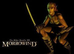 The Elder Scrolls III: Morrowind, Elf