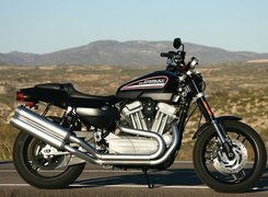 Harley Davidson XR1200, Układ, Wydechowy