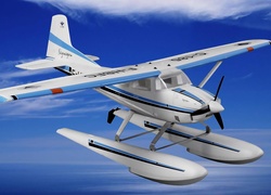 Cessna 185, Skywagon, Grafika