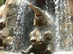 Słoń, Kąpiel