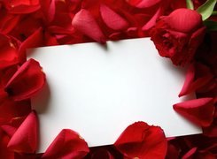 Walentynki, Płatki, Róż, List, Miłosny