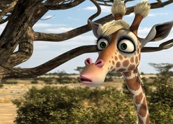 Safari 3D, Konferenz der Tiere, Żyrafa, Żizel