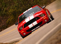 Shelby, Ford Mustang, Super