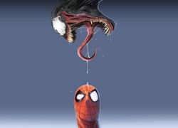Człowiek, Pająk, Spider-Man, Venom