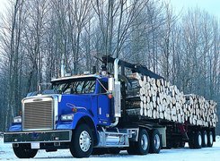 Sterling Truck, Drewno, las