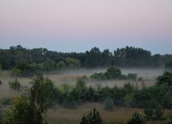Łąka, Mgła