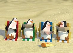 Pingwiny Z Madagaskaru, The Penguins of Madagascar, Pingwiny, Plaża