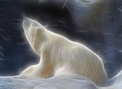 Niedźwiedź, Polarny, 3D