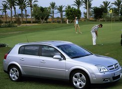 Opel Signum, Golf, Trawa