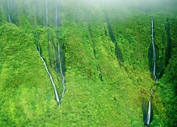 Wodospady, Dżungla