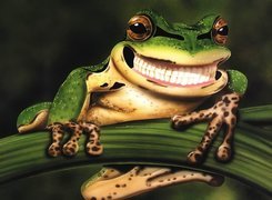 Żaba, Uśmiech, Zęby