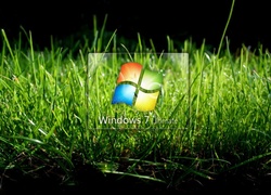 Windows 7, Trawa, Logo