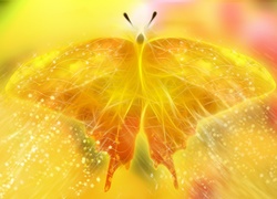 Żółty, Motyl, Grafika