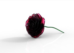 Róża, 3D