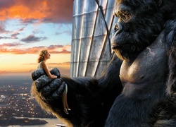Film, King Kong, Dziewczyna