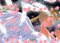 Anioł, Pióra, Sailor Moon