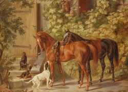 Konie, Psy, Drzewa