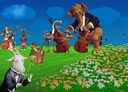 Wesoła, Orkiestra, Zwierzęta
