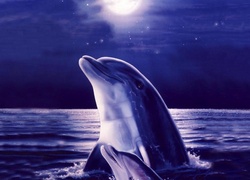 Dwa, Delfiny, Woda, Księżyc