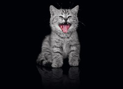 Kot, Uśmiech