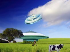 Krowa, UFO