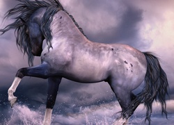 Koń, Woda, Chmury