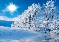 Zima, Drzewa, Śnieg, Słońce