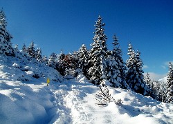 Góry, Zima, Tatry