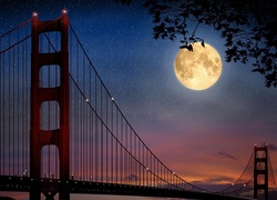 Most, Noc, Księżyc