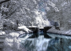 Zima, Rzeka, Drzewa, Śnieg