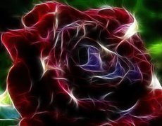 Kwiat, Róża, Fraktal, Czerwona