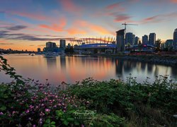 Kanada, Vancouver, Akwen, False Creek, Stadion BC Place Stadium, Wieżowce, Roślinność