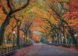 Stany Zjednoczone, Nowy Jork, Central Park, Drzewa, Latarnie, Aleja, Ławki, Jesień