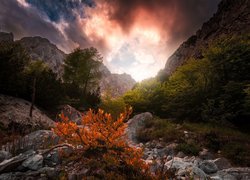 Słowenia, Góry Alpy Julijskie, Triglavski Park Narodowy, Drzewa, Skały, Zachód słońca